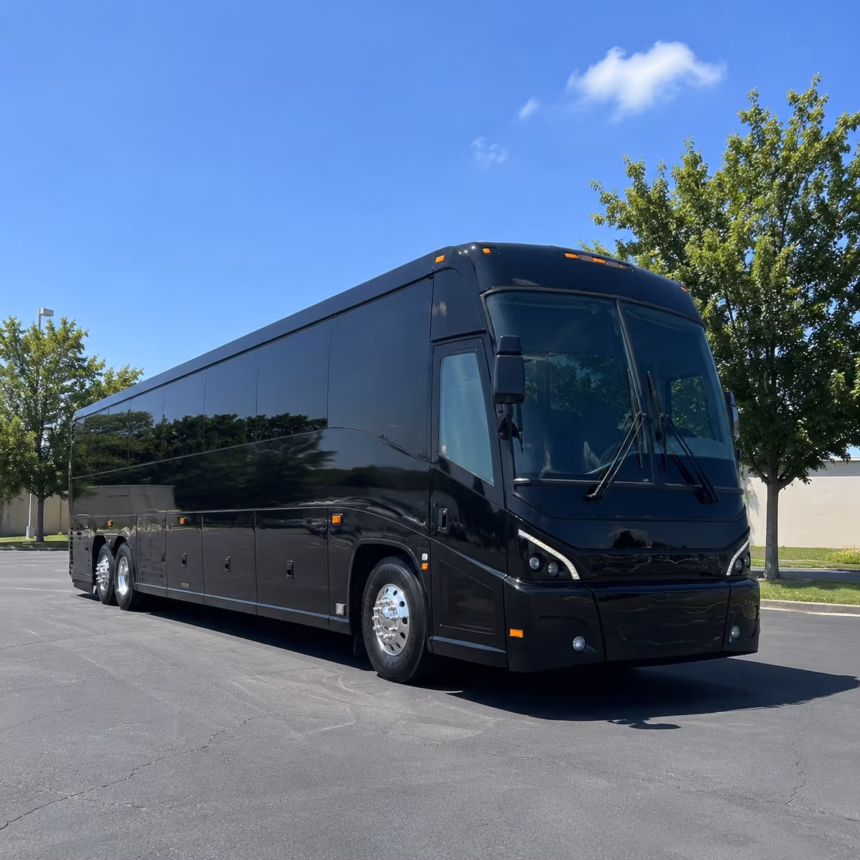 san marcos 56 passenger charter bus
